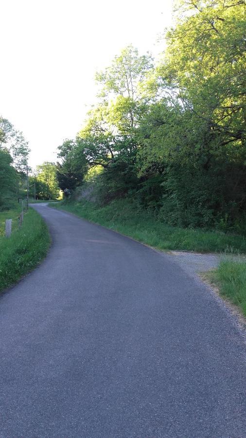 Les Coteaux De Planeze, Chambre Pour 2, 3 Ou Famille Nombreuse 2 Adultes 5 Enfants Et Jeunes Belmont-Bretenoux Kültér fotó