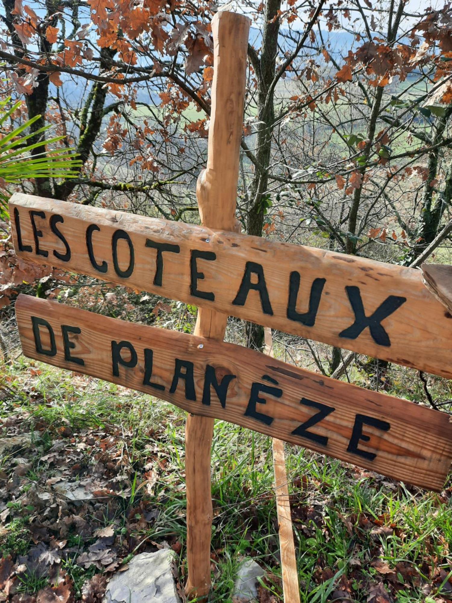 Les Coteaux De Planeze, Chambre Pour 2, 3 Ou Famille Nombreuse 2 Adultes 5 Enfants Et Jeunes Belmont-Bretenoux Kültér fotó